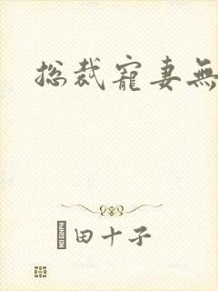 总裁宠妻无下限