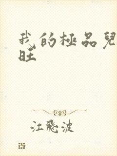 我的极品儿媳老旺