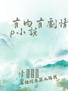 有肉有剧情的np小说