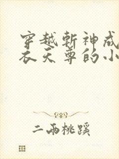 穿越斩神成为白衣天尊的小说