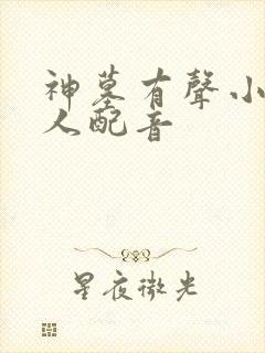 神墓有声小说多人配音