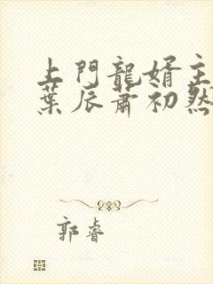 上门龙婿主人公叶辰萧初然