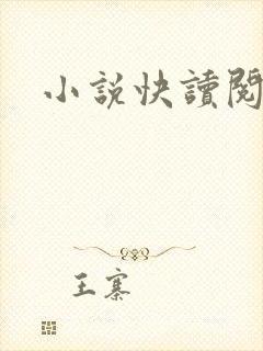 小说快读阅读器