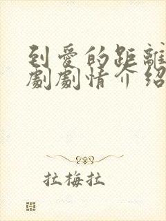 到爱的距离电视剧剧情介绍