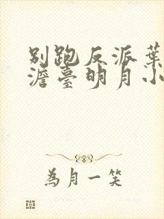 别跑反派叶玄,澹台明月小说