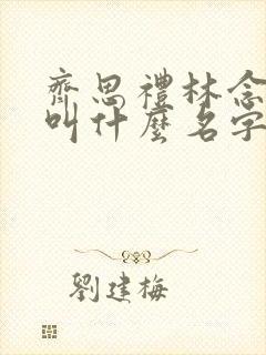 齐思礼林念小说叫什么名字