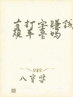 有打字赚钱的正规平台吗
