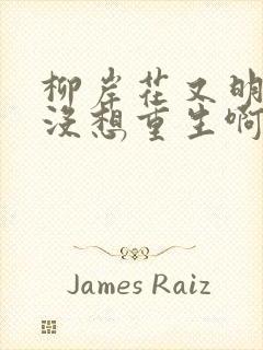 柳岸花又明我真没想重生啊