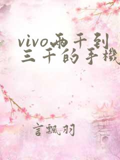 vivo两千到三千的手机哪款性价比高