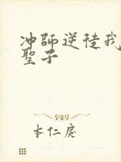 冲师逆徒我不是圣子