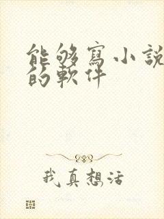 能够写小说赚钱的软件