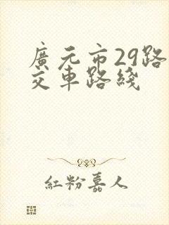 广元市29路公交车路线