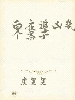 白夜追凶几集一个案子