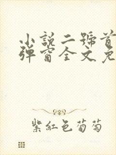 小说二号首长无弹窗全文免费阅读