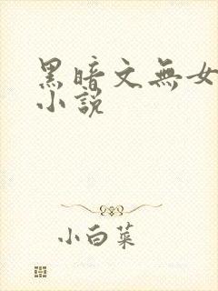 黑暗文无女主的小说