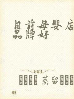 目前母婴店那个品牌好