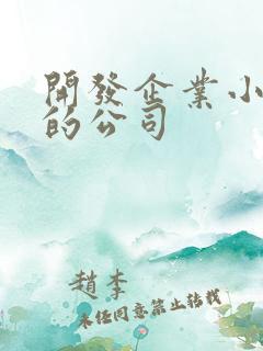 开发企业小程序的公司