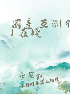 国产 亚洲 91 在线