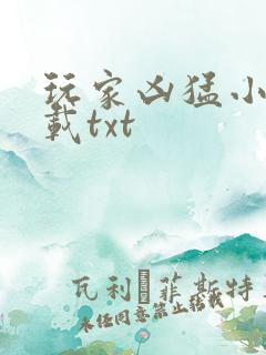 玩家凶猛小说下载txt