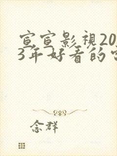 宣宣影视2023年好看的电视剧