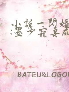 小说一闪婚厚爱:墨少宠妻成瘾