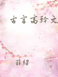 古言高干文