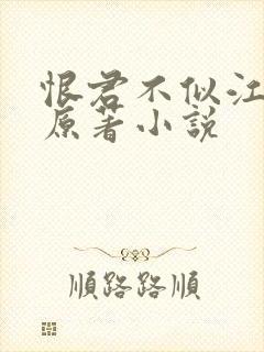 恨君不似江楼月原著小说