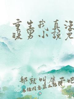 重生我真没想当暖男小说免费阅读