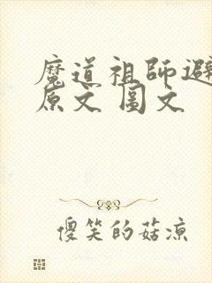 魔道祖师避尘篇原文 图文