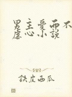 男主爱而不得的虐心小说
