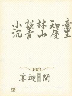 小说林知意,宫沉青山庆生