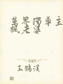万界独尊主角林枫老婆