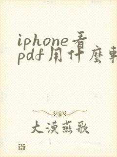 iphone看pdf用什么软件好