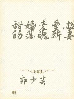 甜婚袭爱,总裁的落魄新妻