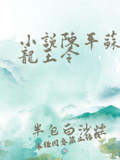 小说陈平苏雨琪龙王令