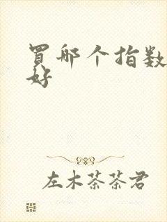 买哪个指数基金好