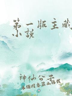 第一版主藏经阁小说