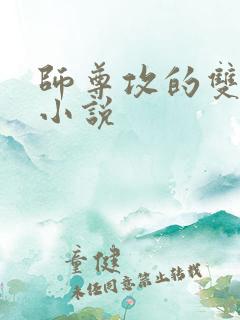 师尊攻的双男主小说