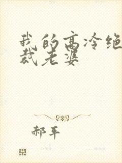 我的高冷绝色总裁老婆