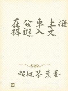 在公车上拨开内裤进入文
