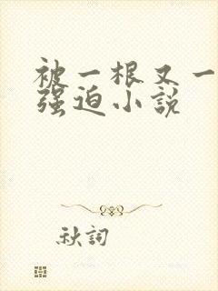 被一根又一根h强迫小说