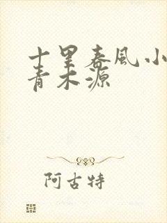 十里春风小说 青木源