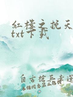 红楼之挽天倾 txt下载