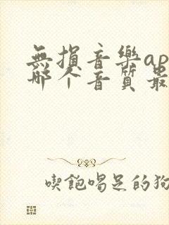 无损音乐app哪个音质最好