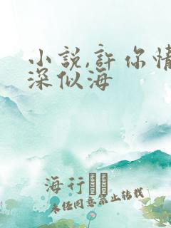 小说,许你情深深似海