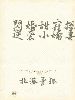 闪婚甜宠总裁的逆袭小娇妻免费阅读