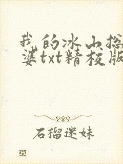 我的冰山总裁老婆txt精校版