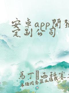安卓app开发定制公司