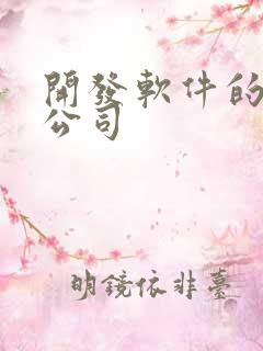 开发软件的企业公司