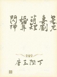 闪婚萌妻是满级神算短剧免费全集